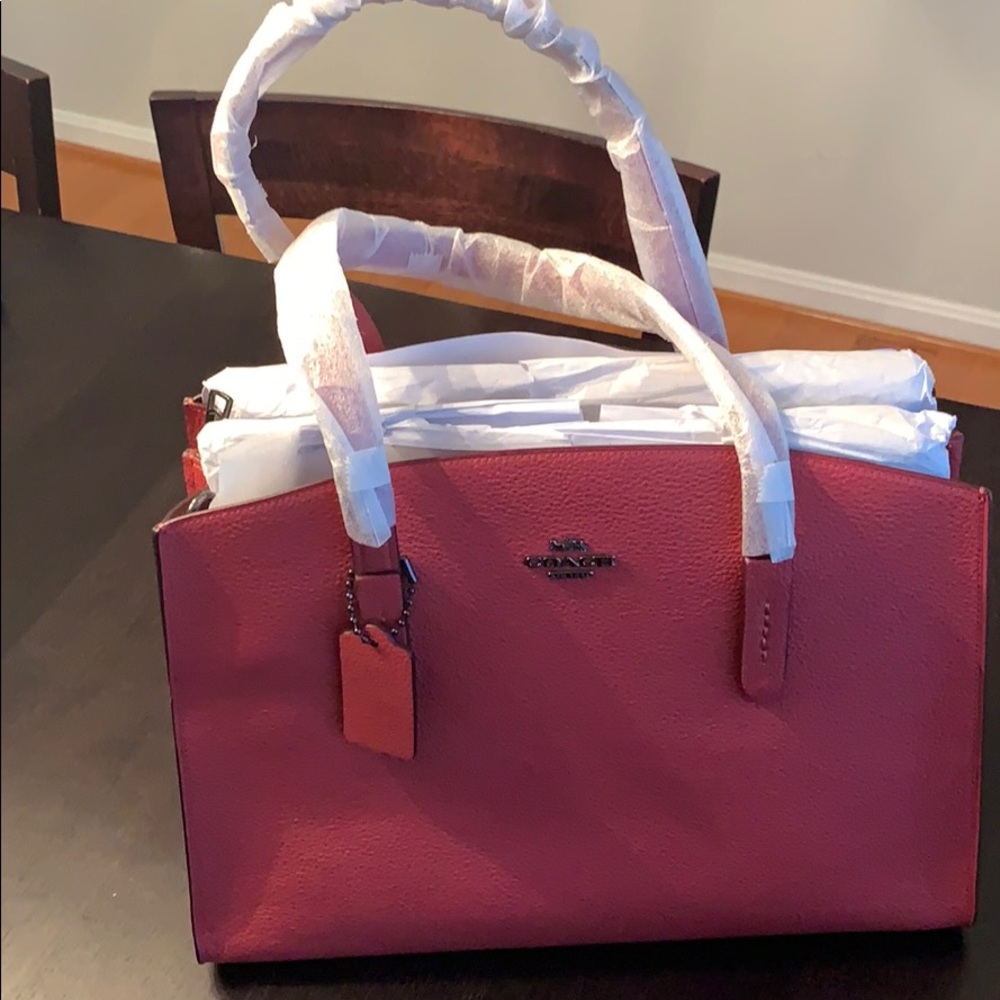 Coach Charlie Carryall